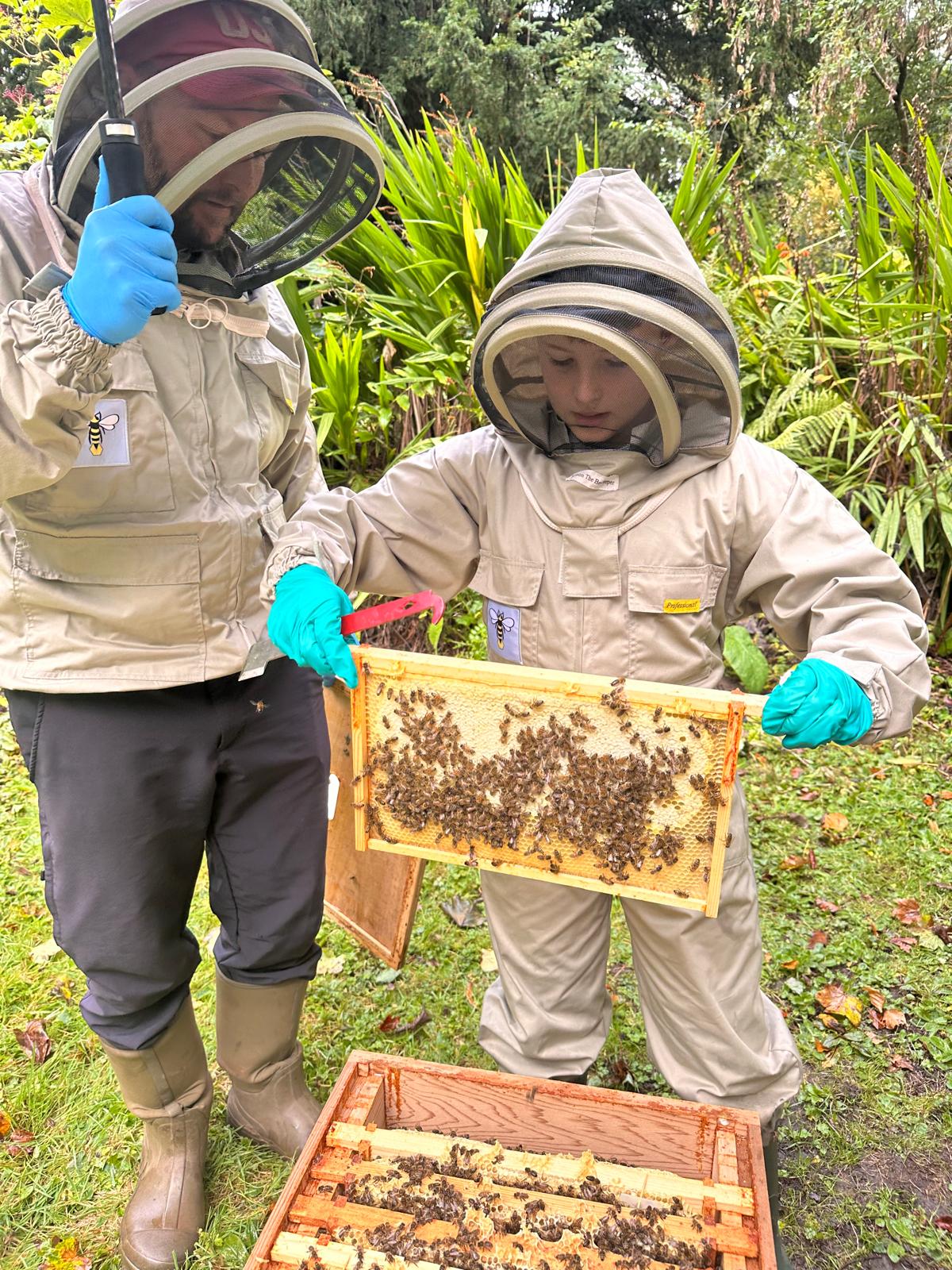 Two beekeepers in suits lifting a frame of comb from a hive
